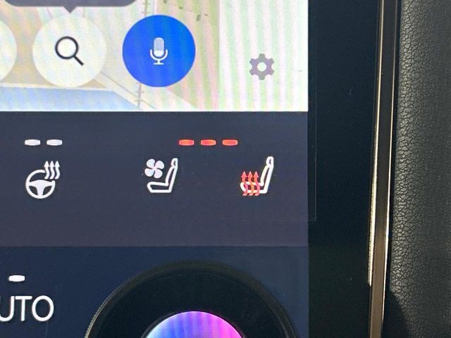 TOYOTA ALPHARD 2025 Image 31