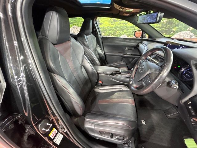 TOYOTA LEXUS UX250H 2019 Image 31