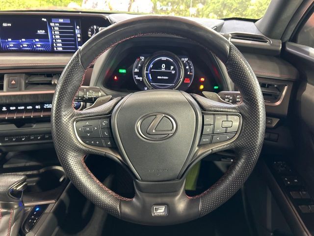 TOYOTA LEXUS UX250H 2019 Image 31