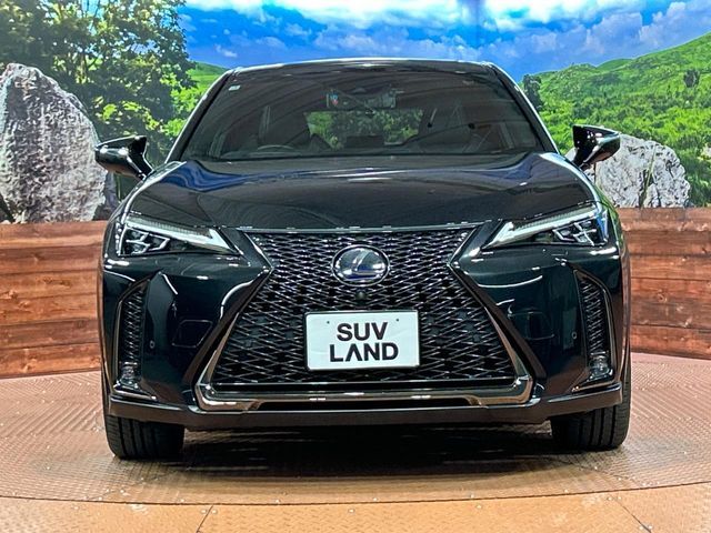 TOYOTA LEXUS UX250H 2019 Image 31