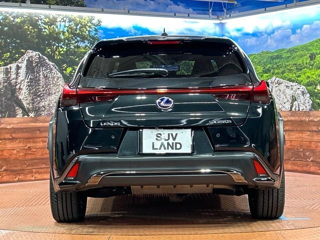 TOYOTA LEXUS UX250H 2019 Image 31