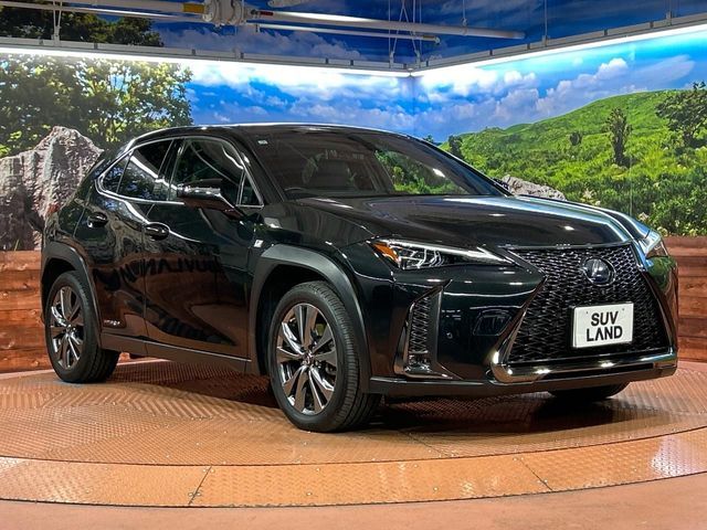 TOYOTA LEXUS UX250H 2019 Image 31