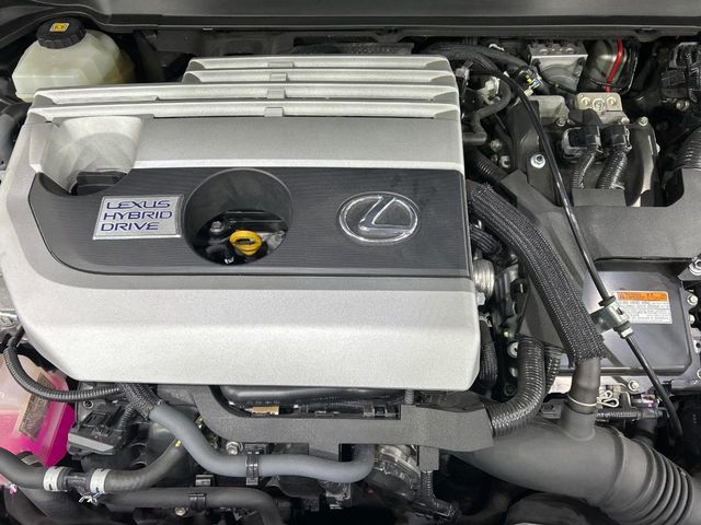 TOYOTA LEXUS UX250H 2019 Image 31