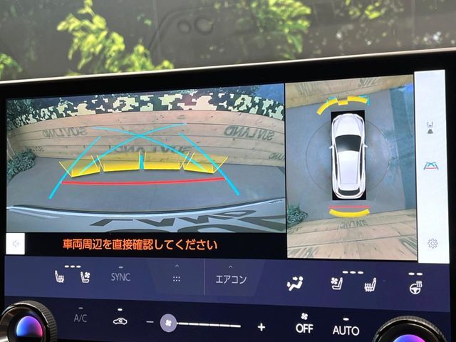 TOYOTA LEXUS NX450H+ AWD 2023 Image 31