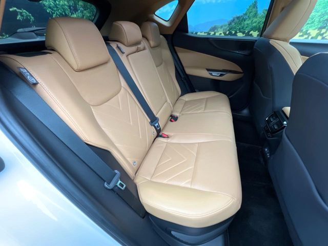 TOYOTA LEXUS NX450H+ AWD 2023 Image 31