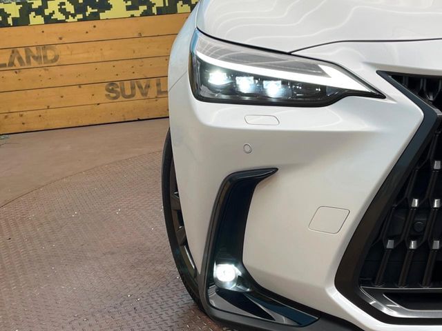 TOYOTA LEXUS NX450H+ AWD 2023 Image 31