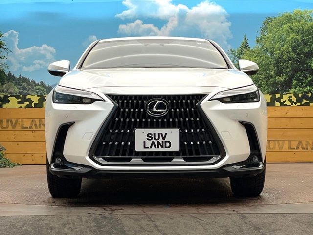 TOYOTA LEXUS NX450H+ AWD 2023 Image 31