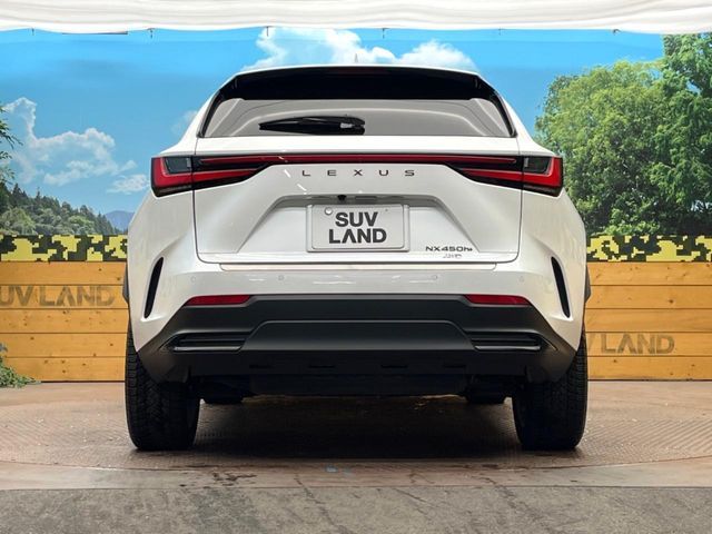 TOYOTA LEXUS NX450H+ AWD 2023 Image 31
