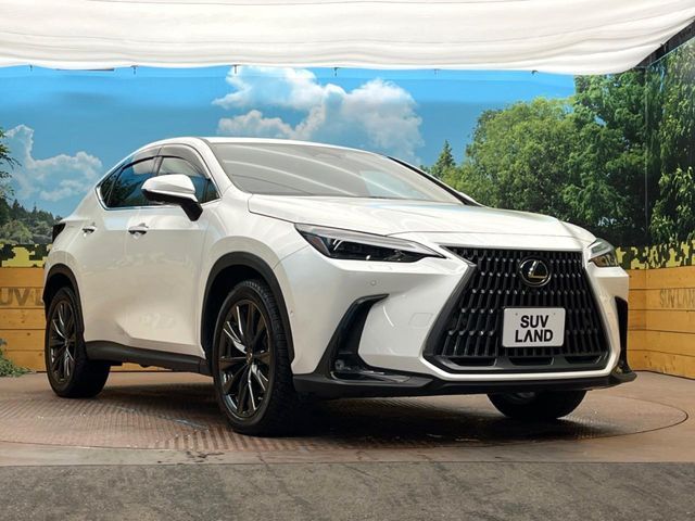 TOYOTA LEXUS NX450H+ AWD 2023 Image 31