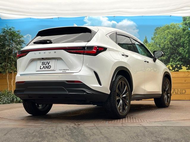 TOYOTA LEXUS NX450H+ AWD 2023 Image 31