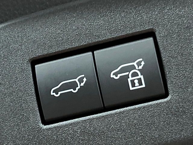 TOYOTA LANDCRUISER 250 2025 Image 31