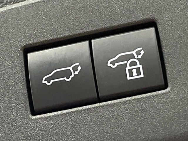 TOYOTA LANDCRUISER 250 2024 Image 31