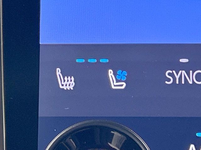 TOYOTA ALPHARD 2024 Image 31