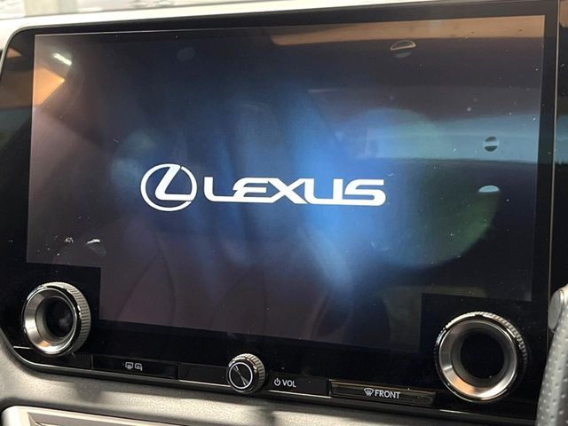 TOYOTA LEXUS RX500H 2023 Image 31