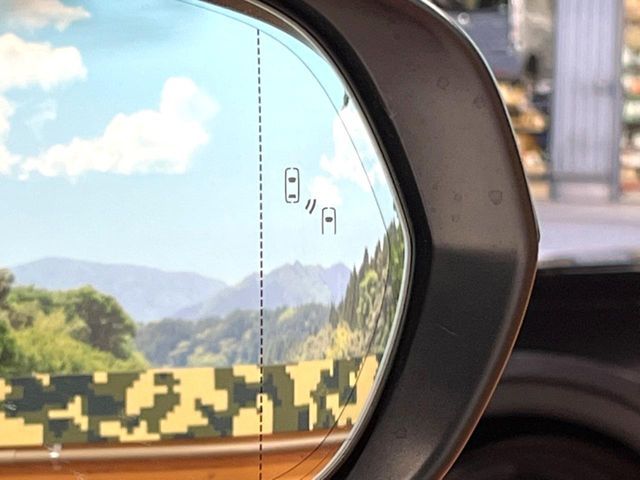 TOYOTA LEXUS NX300H 2021 Image 31