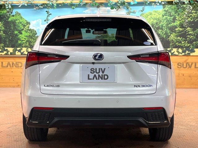 TOYOTA LEXUS NX300H 2021 Image 31