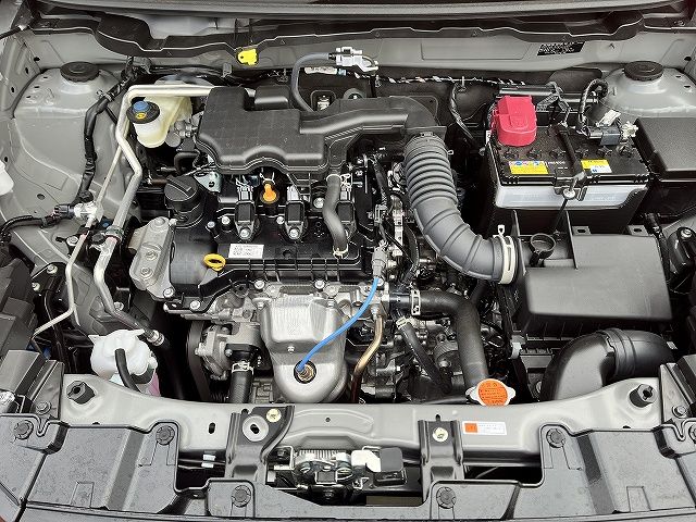 DAIHATSU ROCKY 2024 Image 31