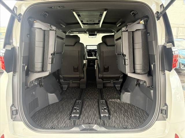 TOYOTA ALPHARD 2025 Image 31