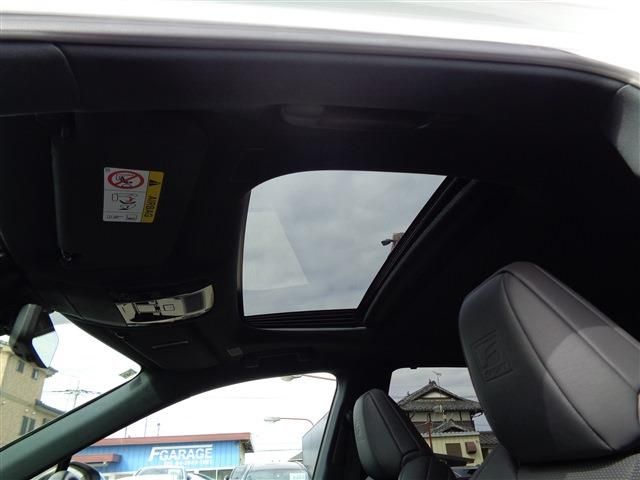 TOYOTA LEXUS RX500H 2023 Image 31