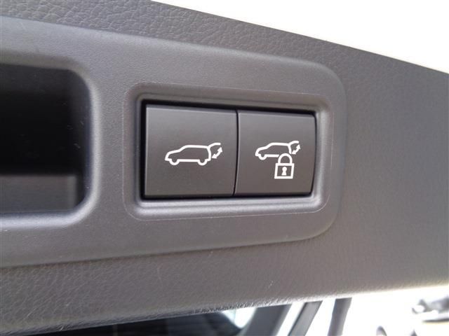 TOYOTA LEXUS RX500H 2023 Image 31