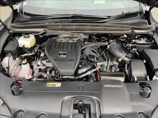 TOYOTA LEXUS RX500H 2025 Image 31