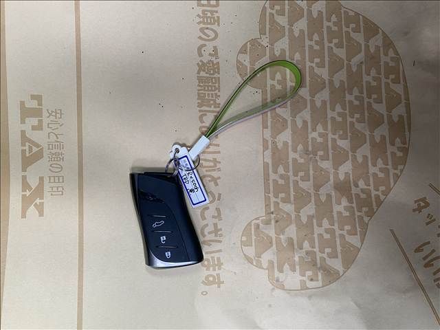 TOYOTA LEXUS RX500H 2025 Image 31