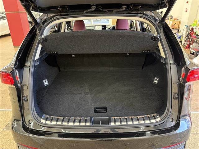 TOYOTA LEXUS NX300H 2018 Image 31