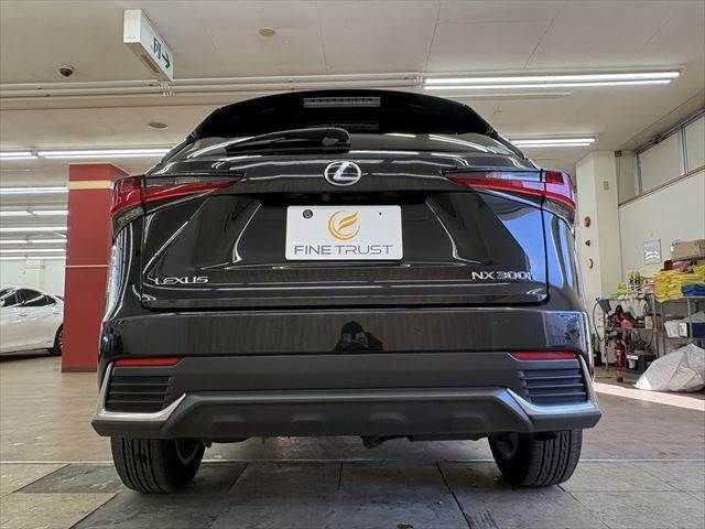 TOYOTA LEXUS NX300H 2018 Image 31