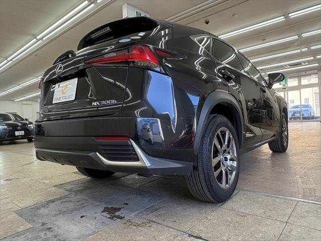 TOYOTA LEXUS NX300H 2018 Image 31
