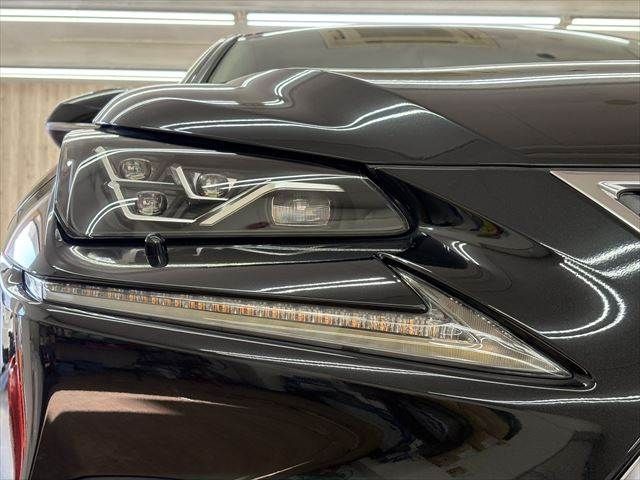 TOYOTA LEXUS NX300H 2018 Image 31