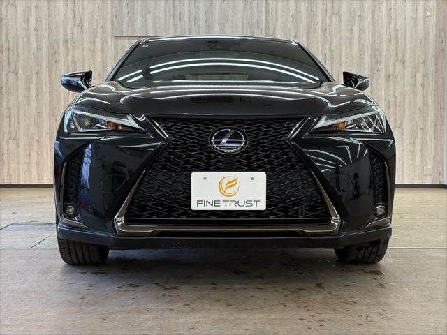 TOYOTA LEXUS UX250H 2020 Image 31