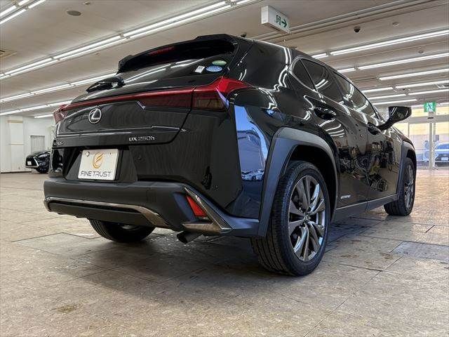 TOYOTA LEXUS UX250H 2020 Image 31