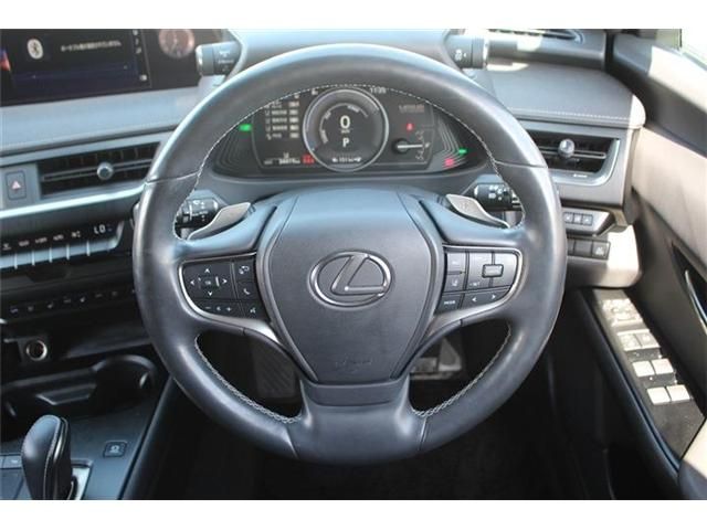 TOYOTA LEXUS UX300E 2021 Image 31