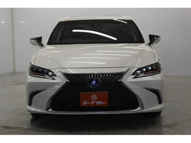 TOYOTA LEXUS ES300H 2019 Image 31