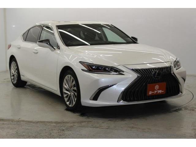 TOYOTA LEXUS ES300H 2019 Image 31