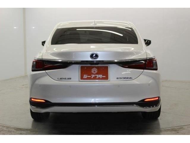 TOYOTA LEXUS ES300H 2019 Image 31