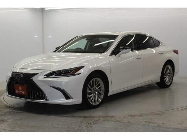 TOYOTA LEXUS ES300H 2019 Image 31