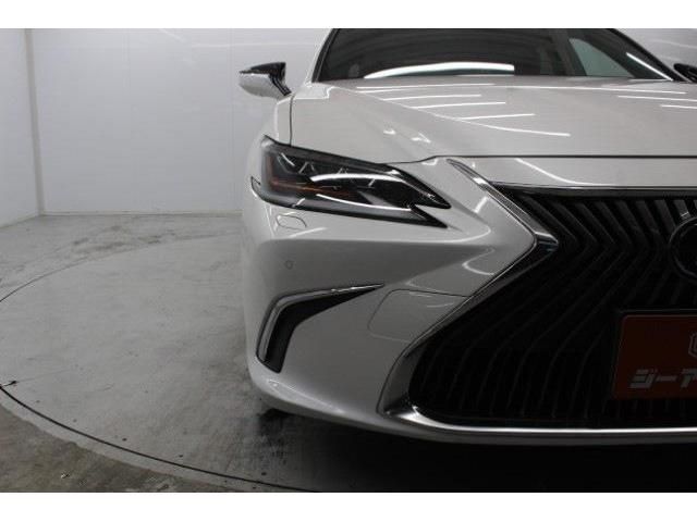 TOYOTA LEXUS ES300H 2019 Image 31