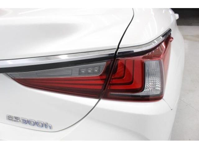 TOYOTA LEXUS ES300H 2019 Image 31