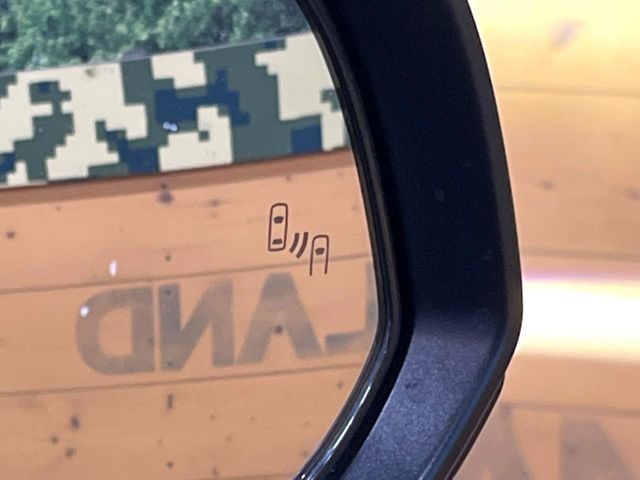 TOYOTA ALPHARD 2024 Image 31