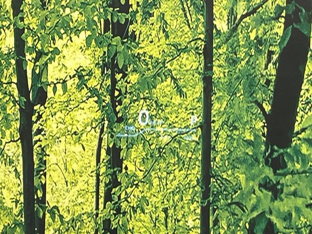 TOYOTA HARRIER HYBRID 2021 Image 31