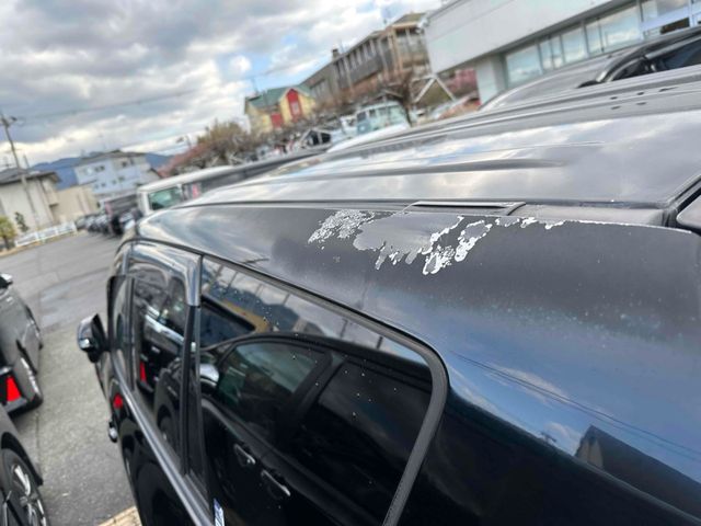 TOYOTA VANGUARD 2WD 2009 Image 31