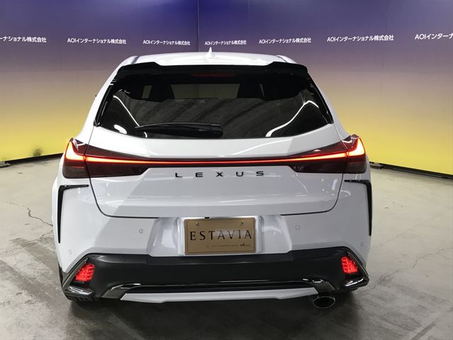 TOYOTA LEXUS UX250H 2020 Image 31