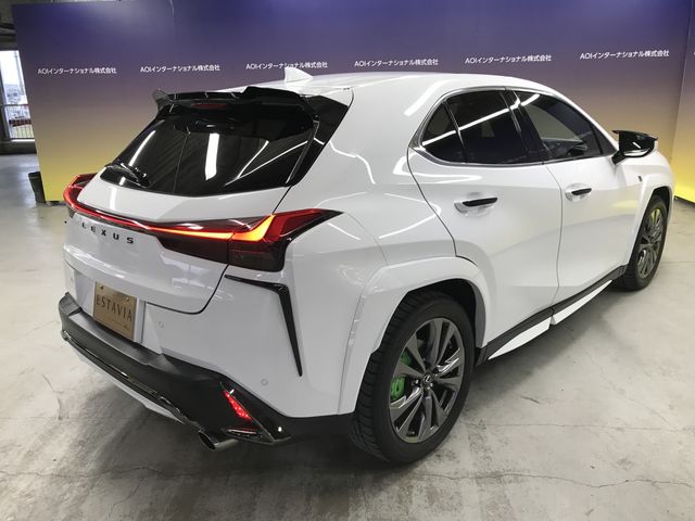 TOYOTA LEXUS UX250H 2020 Image 31