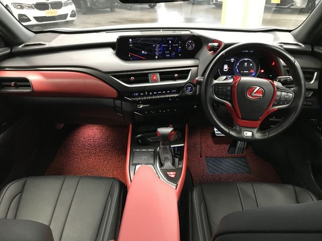 TOYOTA LEXUS UX250H 2020 Image 31