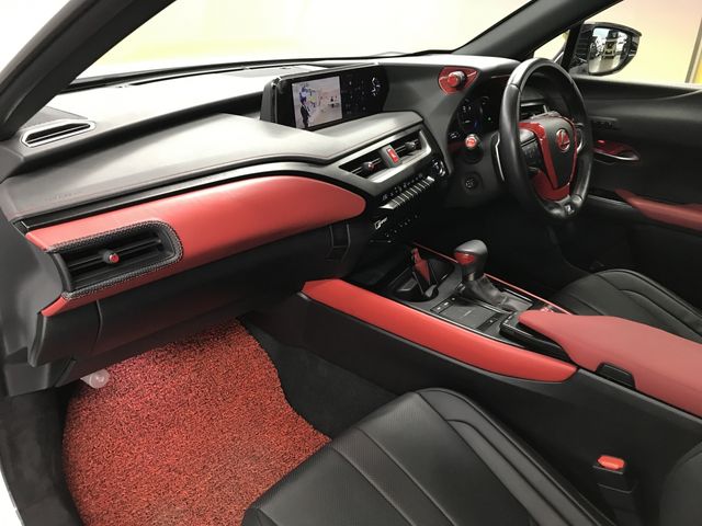 TOYOTA LEXUS UX250H 2020 Image 31