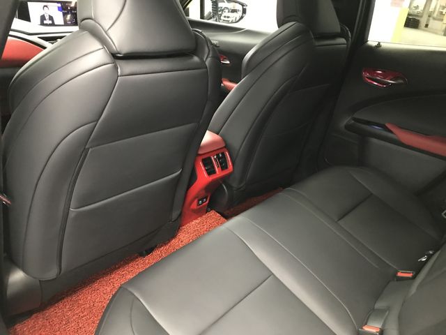 TOYOTA LEXUS UX250H 2020 Image 31