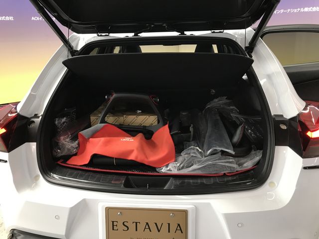 TOYOTA LEXUS UX250H 2020 Image 31