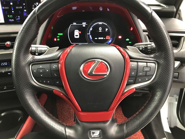 TOYOTA LEXUS UX250H 2020 Image 31