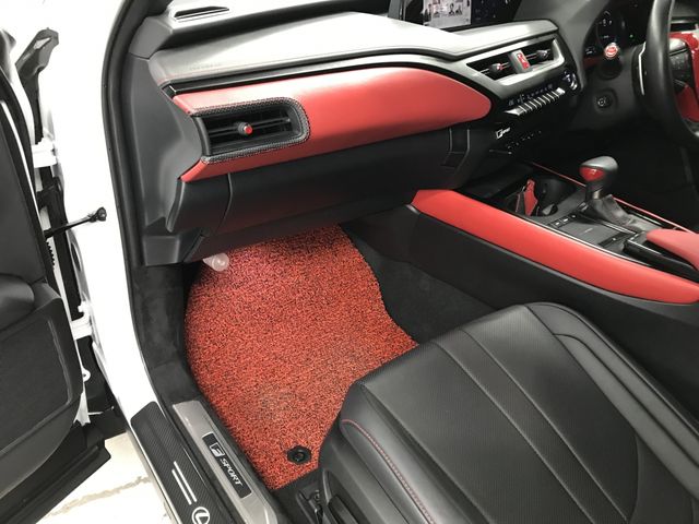 TOYOTA LEXUS UX250H 2020 Image 31